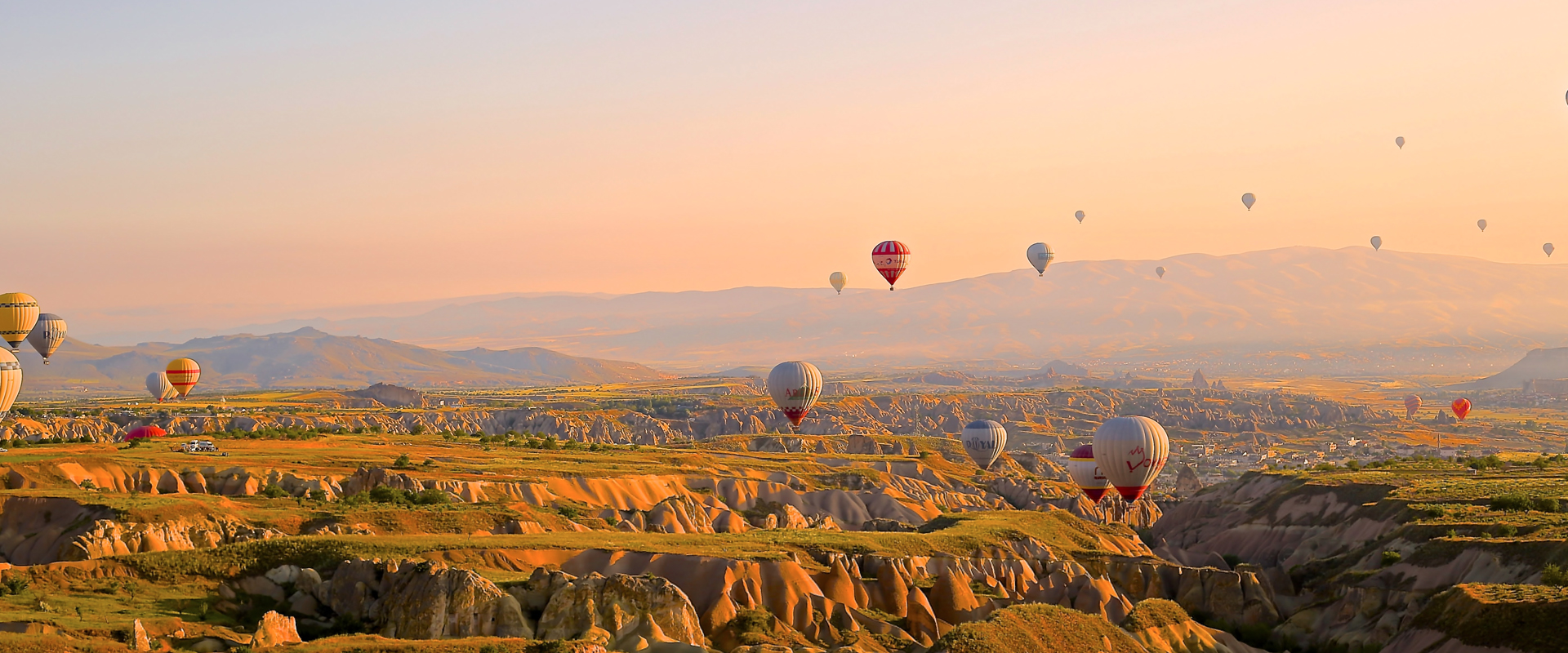 The Adventure of Life in 4K